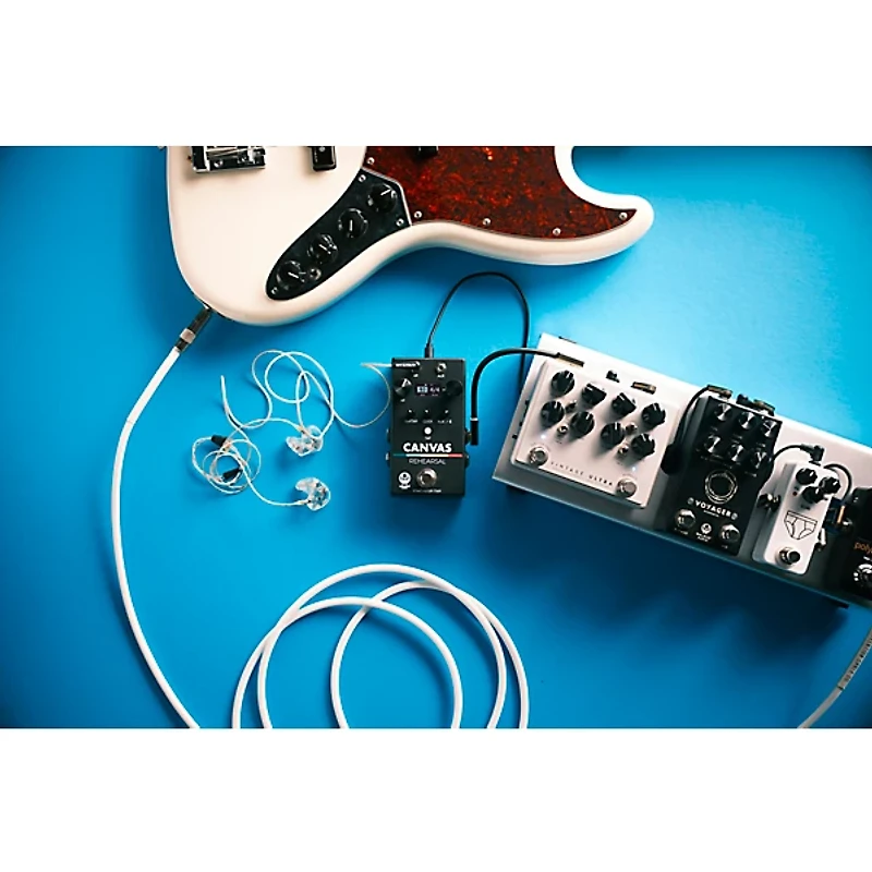 Walrus Audio Canvas Rehearsal Pedal Black