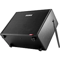 IK Multimedia TONEX 700W 1x12 FRFR Powered Speaker Cabinet - Black