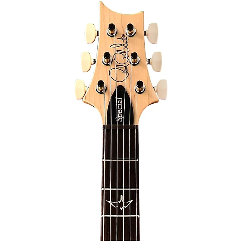 PRS Swamp Ash Special Electric Guitar -