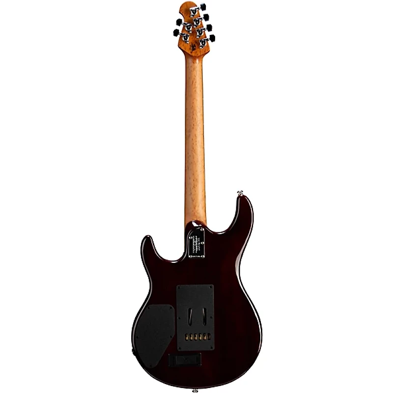 Ernie Ball Music Man Luke 4 HT Maple Top HH Electric Guitar