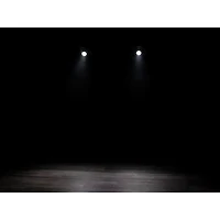 Eliminator Lighting Fantasy FX RGBW Effect Light