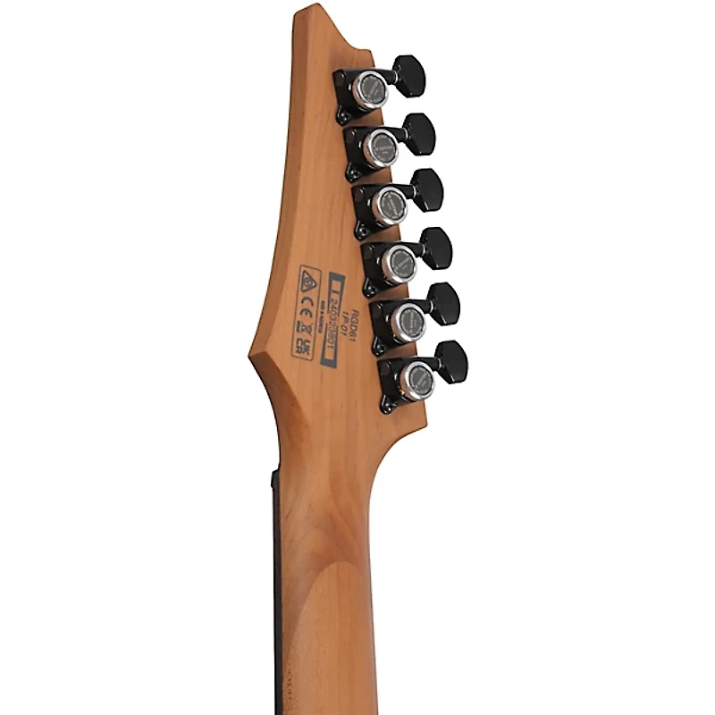 Ibanez RGD61 Electric Guitar Black Aurora Burst Matte