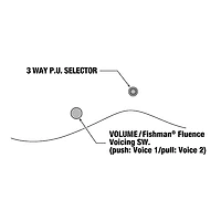 Ibanez RGD61 Electric Guitar Black Aurora Burst Matte