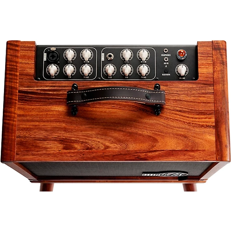 Circa 74 AV150-10 Acoustic Guitar and Vocal Amplifier with Amp Stand - Select Koa
