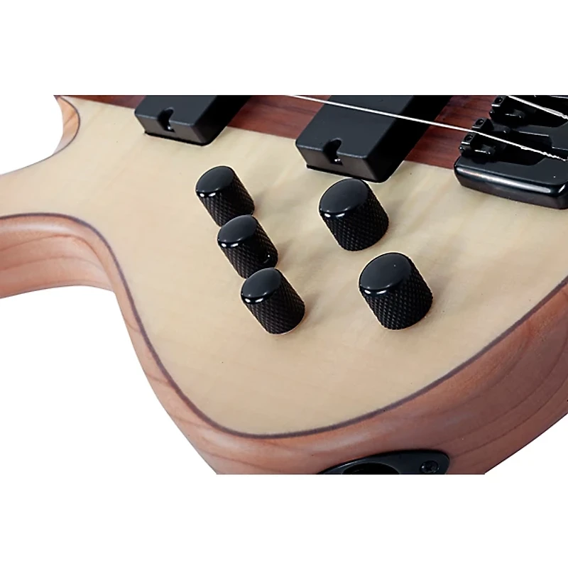 Schecter Guitar Research Charles Berthoud CB-6 Left-Handed 6-String Electric Bass Natural Satin