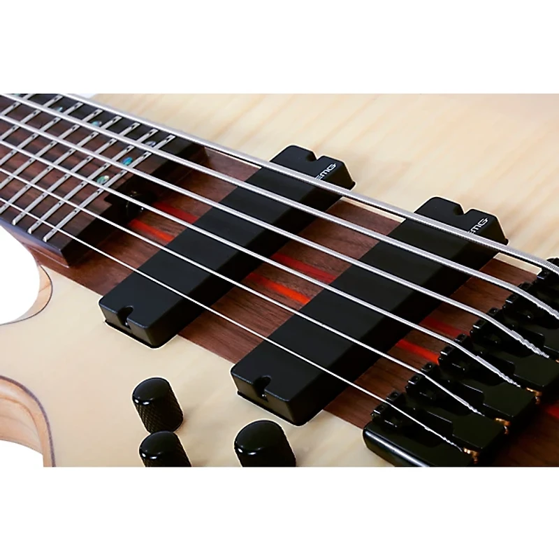 Schecter Guitar Research Charles Berthoud CB-6 Left-Handed 6-String Electric Bass Natural Satin