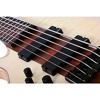 Schecter Guitar Research Charles Berthoud CB-6 Left-Handed 6-String Electric Bass Natural Satin