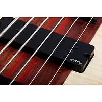 Schecter Guitar Research Charles Berthoud CB-6 6-String Electric Bass Guitar Natural Satin