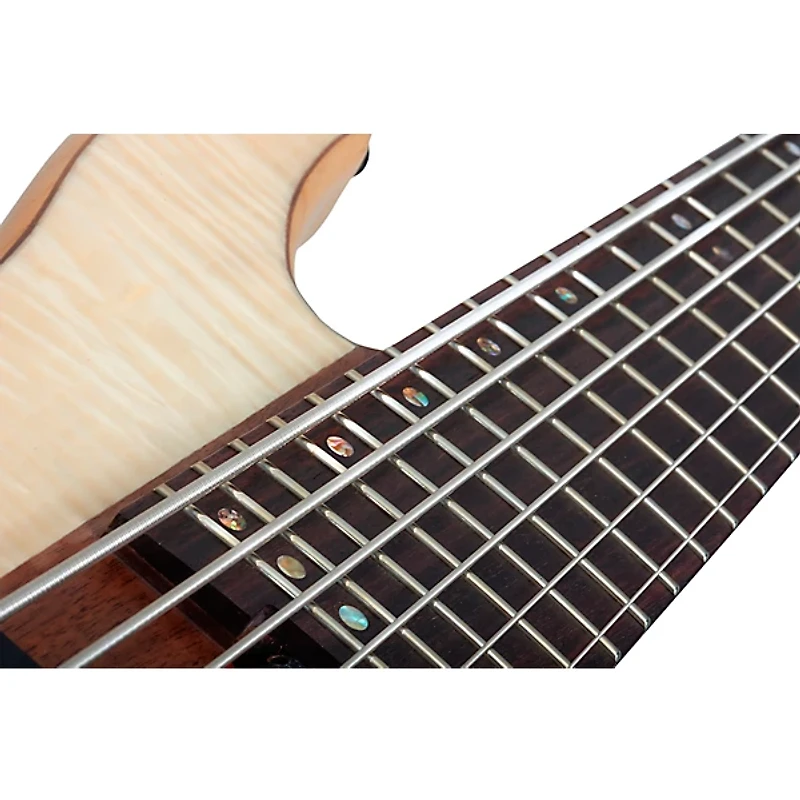 Schecter Guitar Research Charles Berthoud CB-6 6-String Electric Bass Guitar Natural Satin