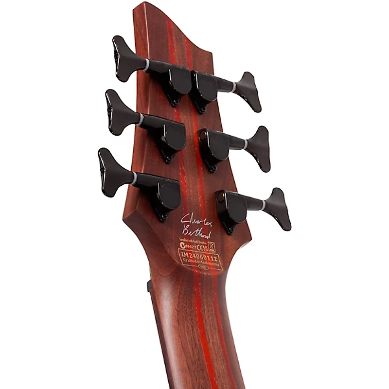 Schecter Guitar Research Charles Berthoud CB-6 6-String Electric Bass Guitar Natural Satin