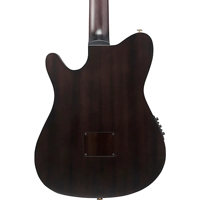 Ibanez FRH20FMN Flamed Maple Top Nylon-String Acoustic-Electric Guitar
