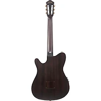 Ibanez FRH20FMN Flamed Maple Top Nylon-String Acoustic-Electric Guitar