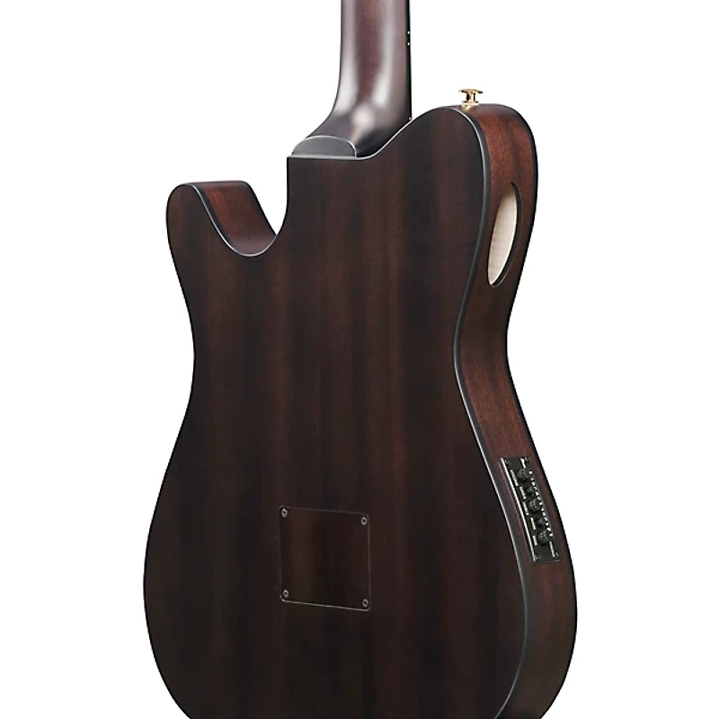 Ibanez FRH20FMN Flamed Maple Top Nylon-String Acoustic-Electric Guitar