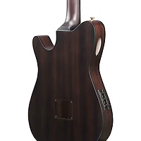 Ibanez FRH20FMN Flamed Maple Top Nylon-String Acoustic-Electric Guitar