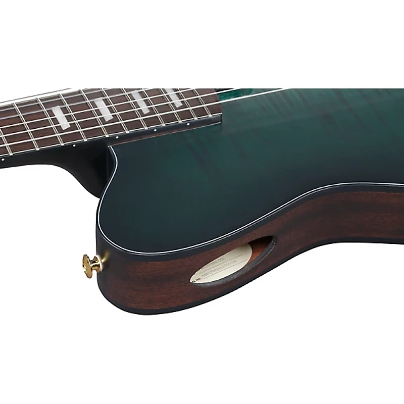 Ibanez FRH20FMN Flamed Maple Top Nylon-String Acoustic-Electric Guitar