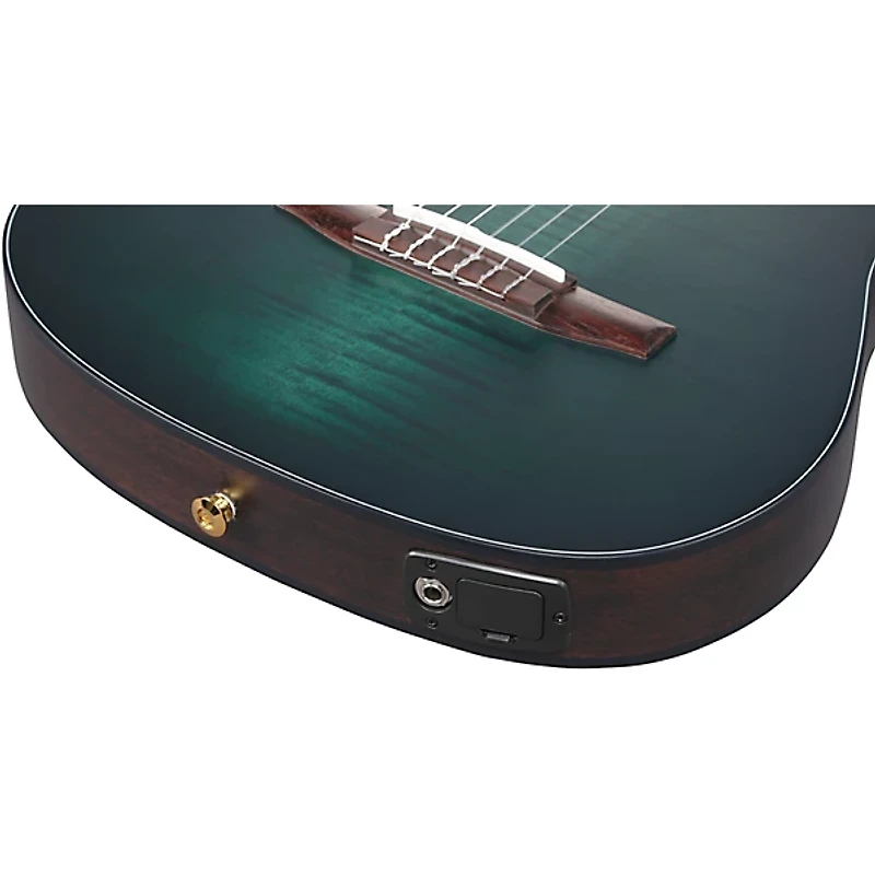 Ibanez FRH20FMN Flamed Maple Top Nylon-String Acoustic-Electric Guitar