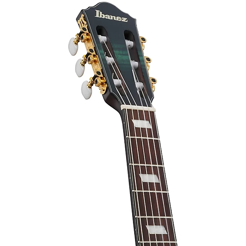 Ibanez FRH20FMN Flamed Maple Top Nylon-String Acoustic-Electric Guitar