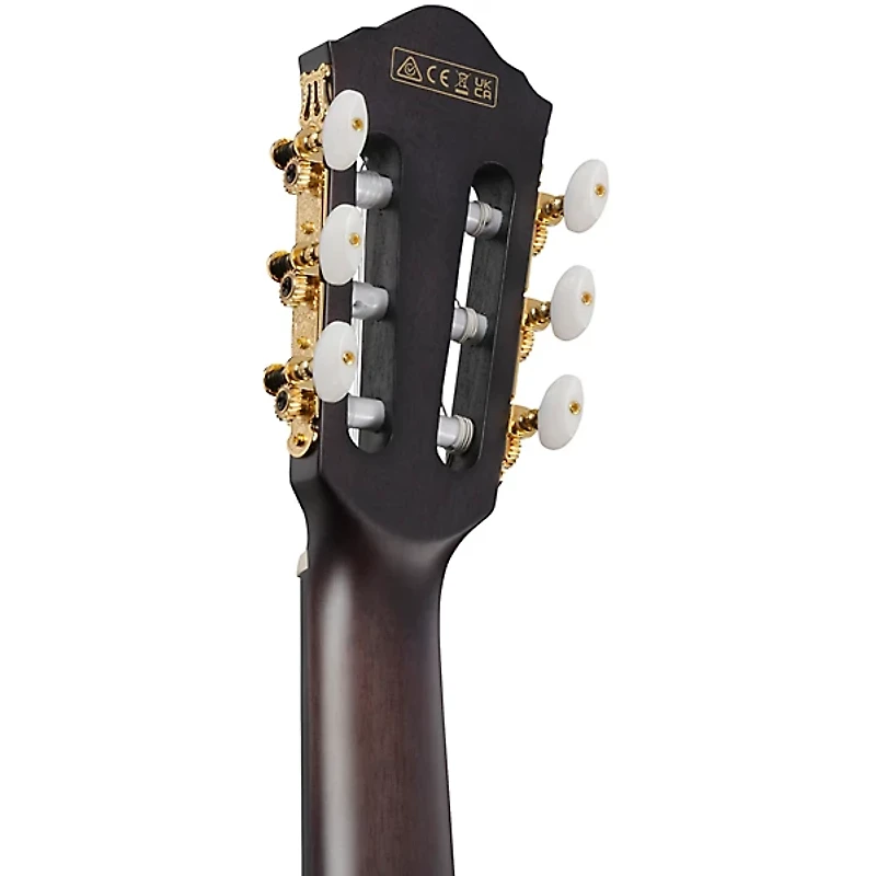 Ibanez FRH20FMN Flamed Maple Top Nylon-String Acoustic-Electric Guitar