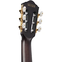 Ibanez FRH20FMN Flamed Maple Top Nylon-String Acoustic-Electric Guitar