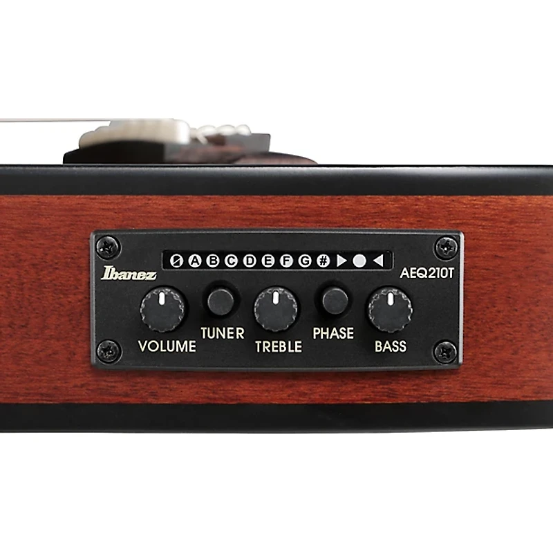 Ibanez FRH20SMN Spalted Maple Top Nylon-String Acoustic-Electric Guitar Tobacco Burst