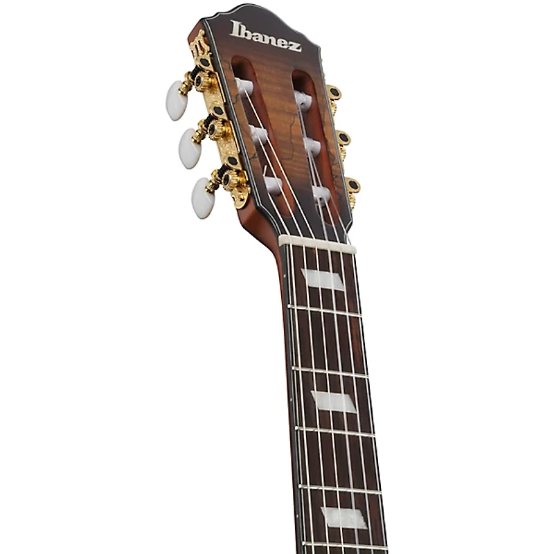 Ibanez FRH20SMN Spalted Maple Top Nylon-String Acoustic-Electric Guitar Tobacco Burst