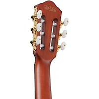Ibanez FRH20SMN Spalted Maple Top Nylon-String Acoustic-Electric Guitar Tobacco Burst