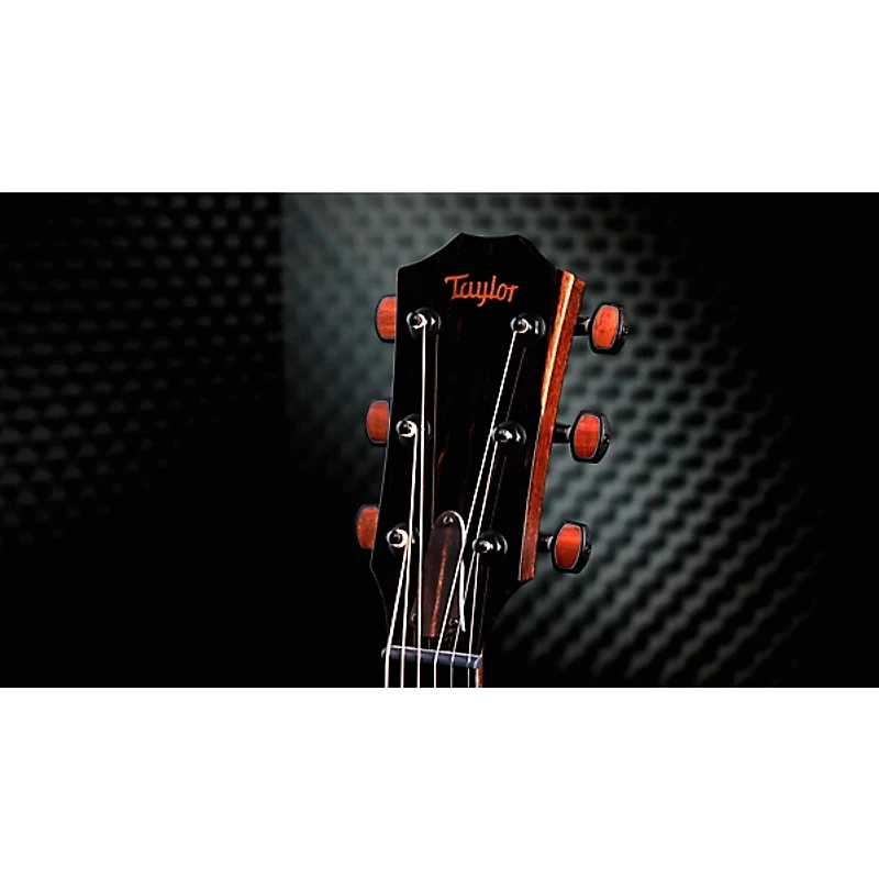 Taylor Custom Torrefied Sitka Spruce-Katalox Grand Auditorium Acoustic-Electric Guitar Natural