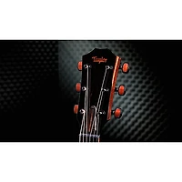 Taylor Custom Torrefied Sitka Spruce-Katalox Grand Auditorium Acoustic-Electric Guitar Natural
