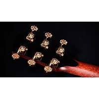 Taylor Custom Adirondack Spruce-Indian Rosewood Grand Auditorium Acoustic-Electric Guitar Natural