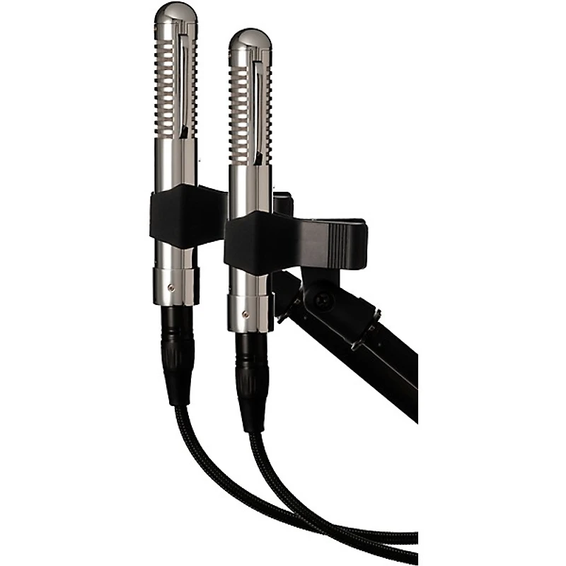 Warm Audio WA-2FT Fen-Tone Instrument Ribbon Microphone With Selectable In-Line Preamp - Stereo Pair