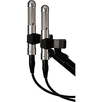 Warm Audio WA-2FT Fen-Tone Instrument Ribbon Microphone With Selectable In-Line Preamp - Stereo Pair