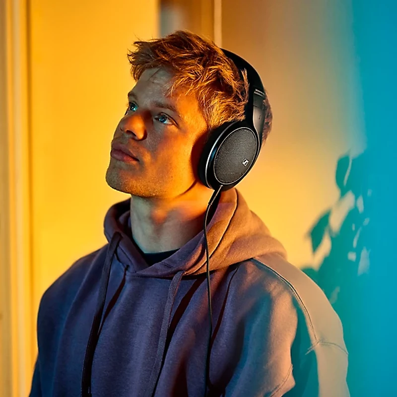 Sennheiser HD 550 Open-Back Headphones