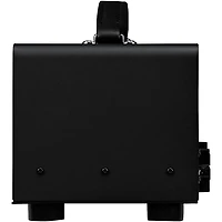 Synergy SYN-20IR Tube Amp Head and Friedman BE-BB Module Bundle