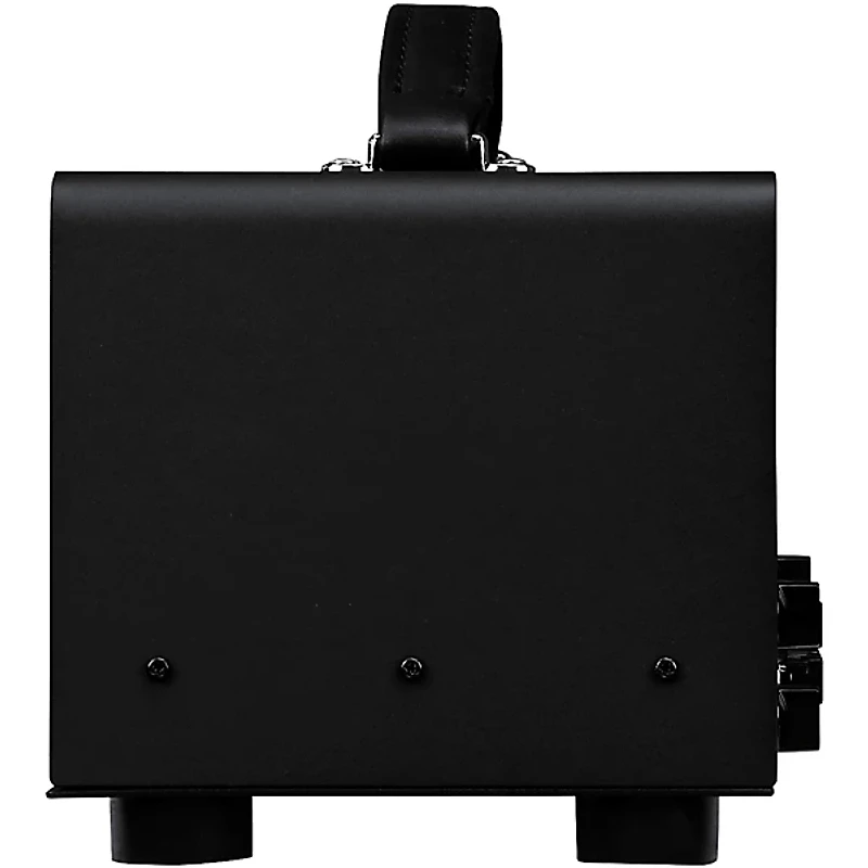 Synergy SYN-20IR Tube Amp Head and Morgan AC Module Bundle