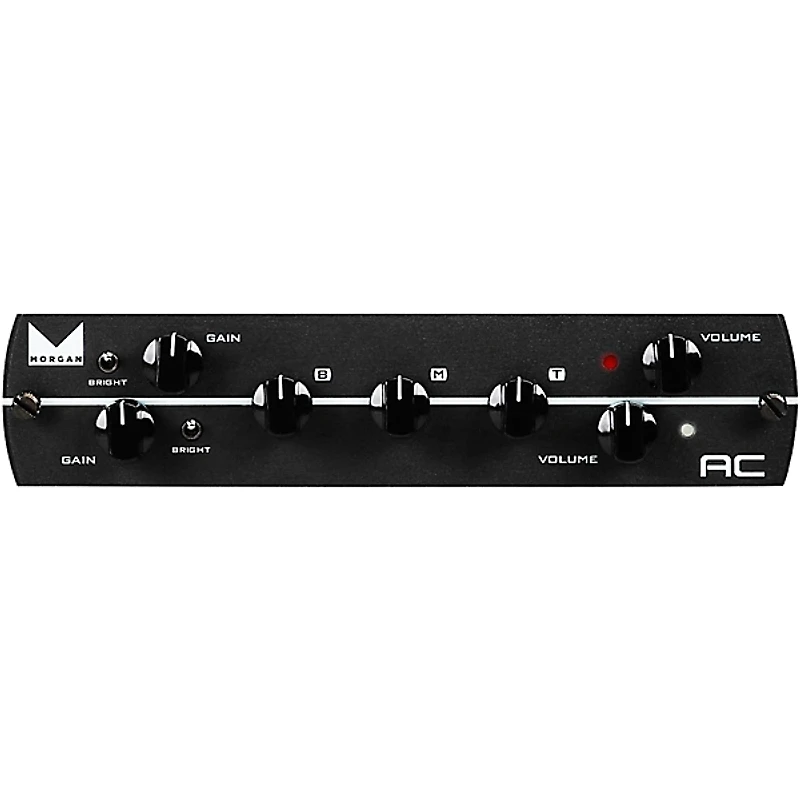 Synergy SYN-20IR Tube Amp Head and Morgan AC Module Bundle