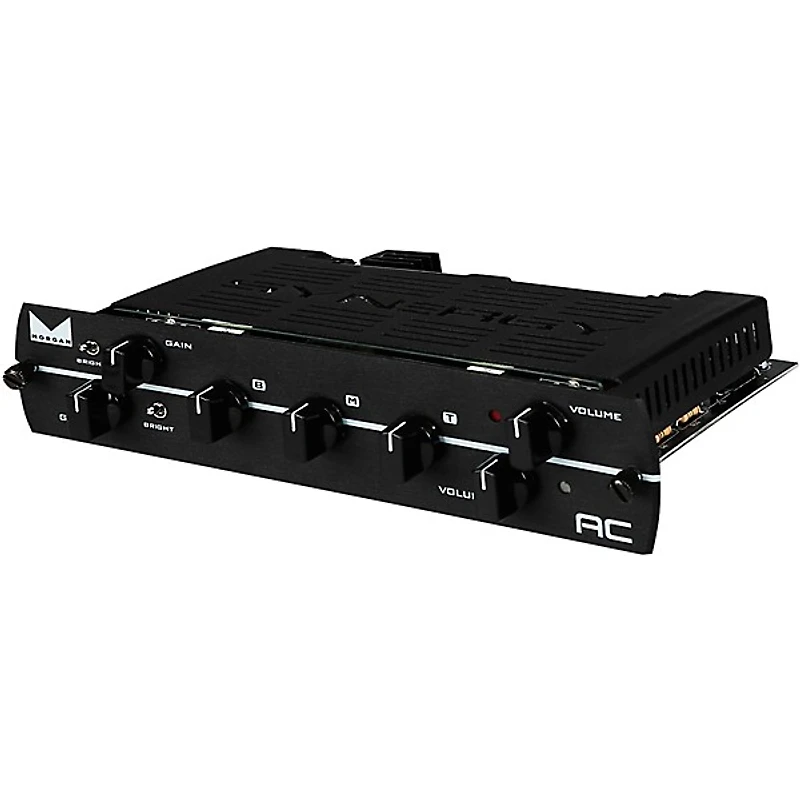 Synergy SYN-20IR Tube Amp Head and Morgan AC Module Bundle