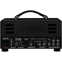 Synergy SYN-20IR Tube Amp Head and Friedman BE-Deluxe Module Bundle