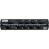 Synergy SYN-20IR Tube Amp Head and Friedman BE-Deluxe Module Bundle