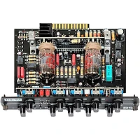 Synergy SYN-20IR Tube Amp Head and Friedman BE-Deluxe Module Bundle