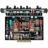 Synergy SYN-20IR Tube Amp Head and Friedman BE-Deluxe Module Bundle