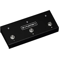 Synergy SYN-20IR Tube Amp Head and Friedman BE-Deluxe Module Bundle