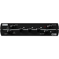 Synergy SYN-20IR Tube Amp Head and Friedman DS Module Bundle