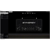 Synergy SYN-20IR Tube Amp Head and Friedman DS Module Bundle