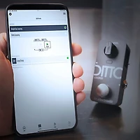 TC Electronic Ditto 2 Looper Pedal Gray