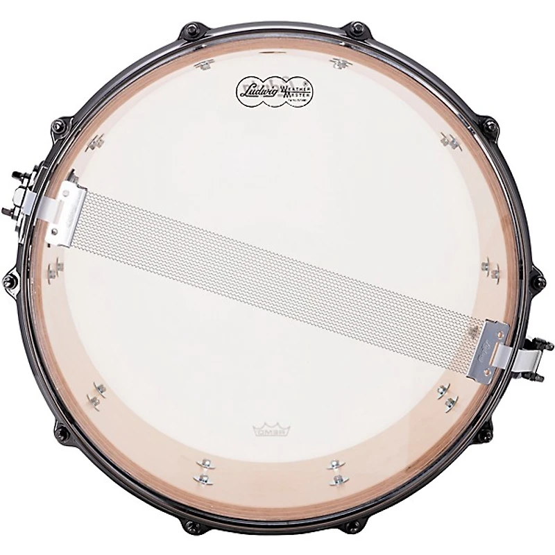 Ludwig Exotic Select Snare Drum With Black Nickel Hardware -