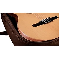 Taylor Academy 12e-N Limited-Edition Nylon-String Classical Acoustic-Electric Guitar Natural