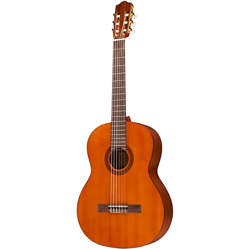 Cordoba C5 Nylon-String Classical Acoustic Guitar Pack Natural