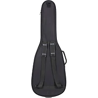 Fender Player II Stratocaster HSS Electric Guitar Kit