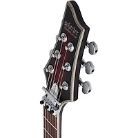 Schecter Guitar Research C-1 Platinum FR-Sustaniac Electric Guitar Kit