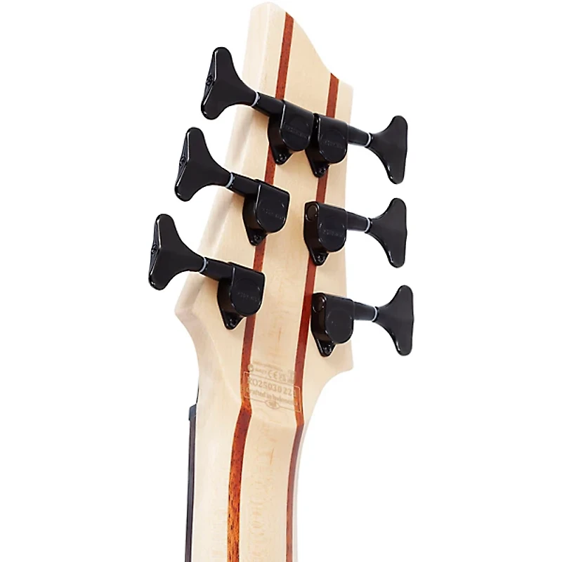 Schecter Guitar Research SC-6 6-String Bass Guitar Natural Satin